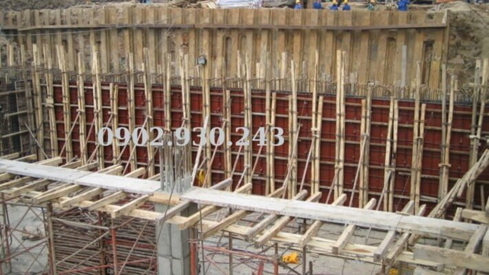 ty-ren-bat-chuon-quan-2-tphcm